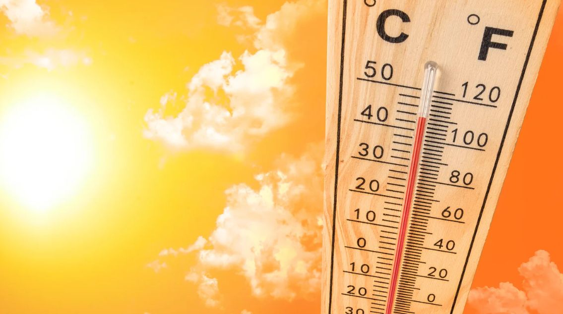 South Australian Renters Need Safe, Affordable, Liveable Homes: Support The Residential Tenancies (Minimum Standards) Amendment Bill 2024